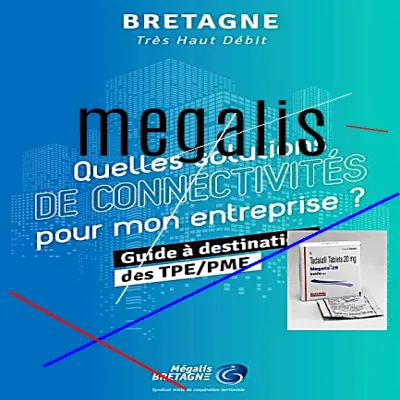 Prix echangeur megalis